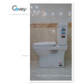 Watermark Washdown Two-Piece Toilet with S-Trap160/220mm/P-Trap180mm (A-6002)